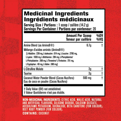 Jacked Factory Nitrosurge Pre-Workout & EAA Surge Essential Amino Acids Bundle Jacked Factory