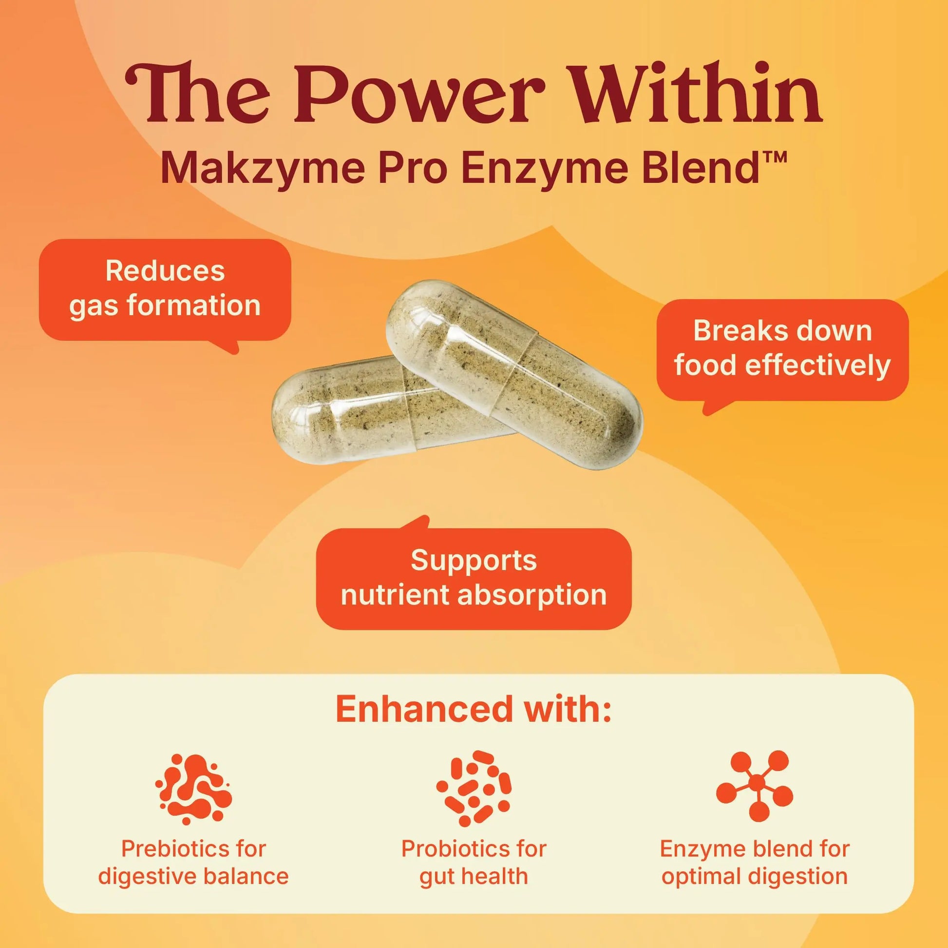 Poop Like a Champion Bloating Relief Digestive Enzymes, Probiotic Powered Capsules to Support Digestive Health and Gas Relief, 60 Capsules Poop Like a Champion buy supplements Au