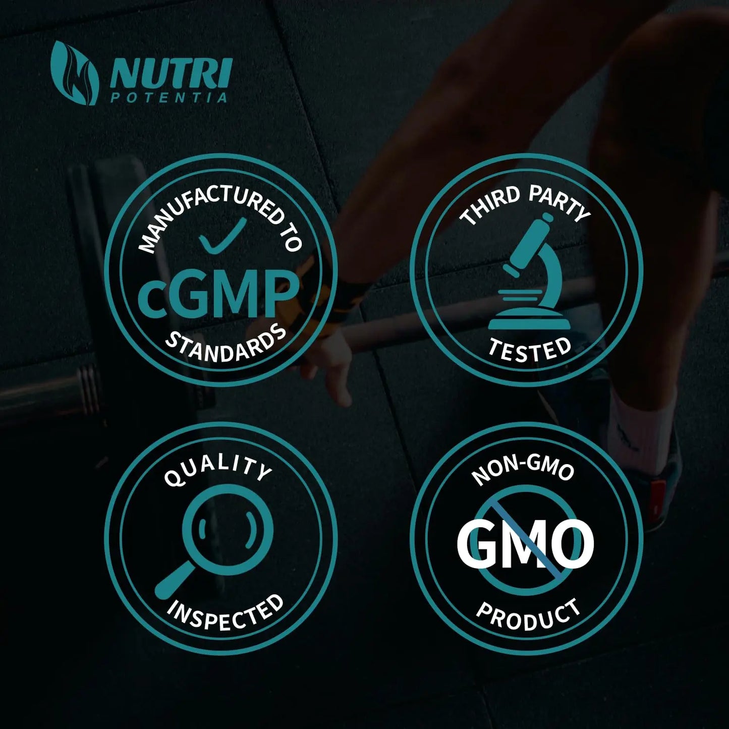 L-Citrulline Dl-Malate 2:1 Powder 500g, Pure L Citrulline Malate Supplement Preworkout NUTRI POTENTIA