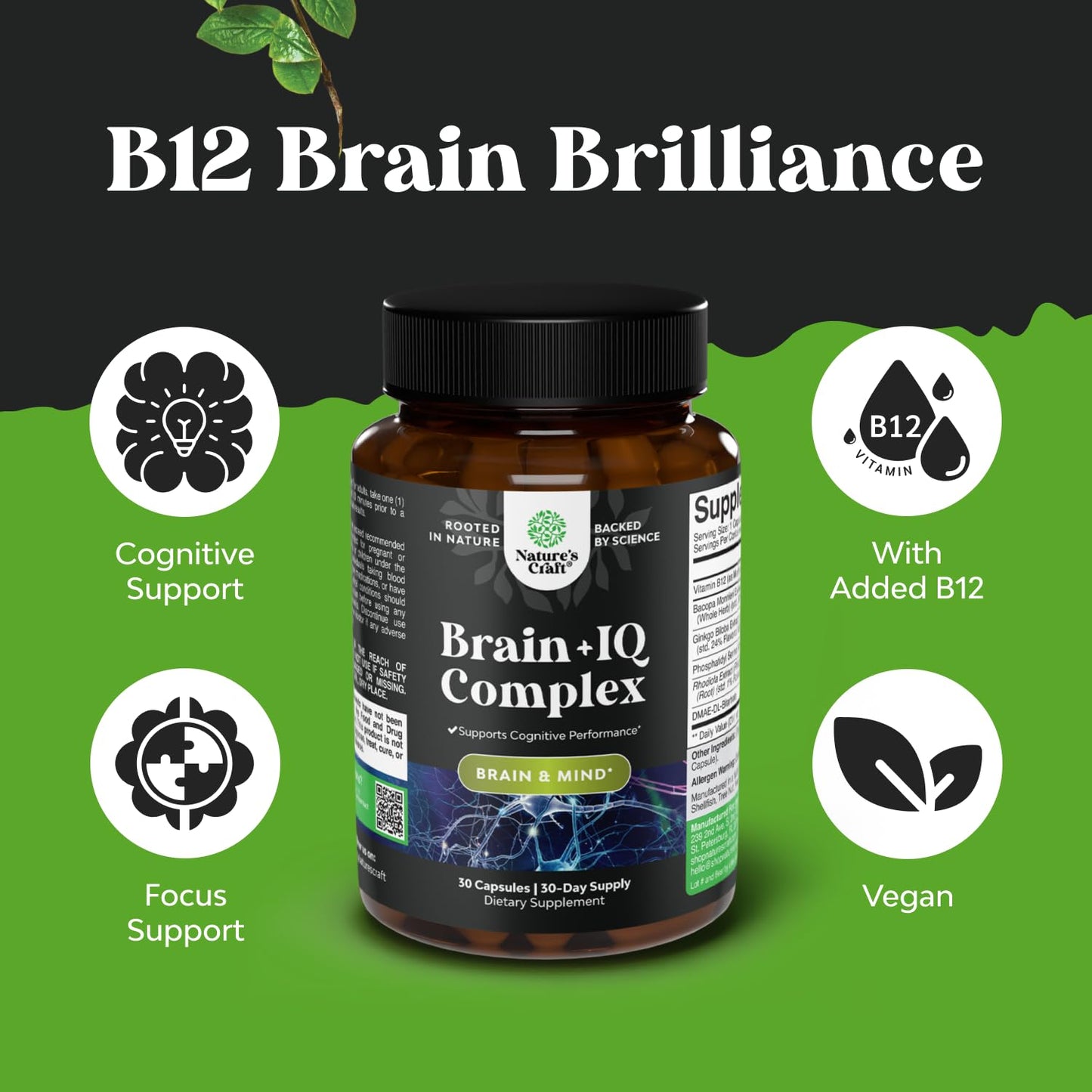 Nootropic Memory Supplement for Brain Support - Memory Pills for Brain Boost and Natural Energy Booster - Vitamin B 12 Bacopa Monnieri Rhodiola Rosea DMAE Ginkgo Biloba Phosphatidylserine Supplement Natures CraftBuy Supplements Australia