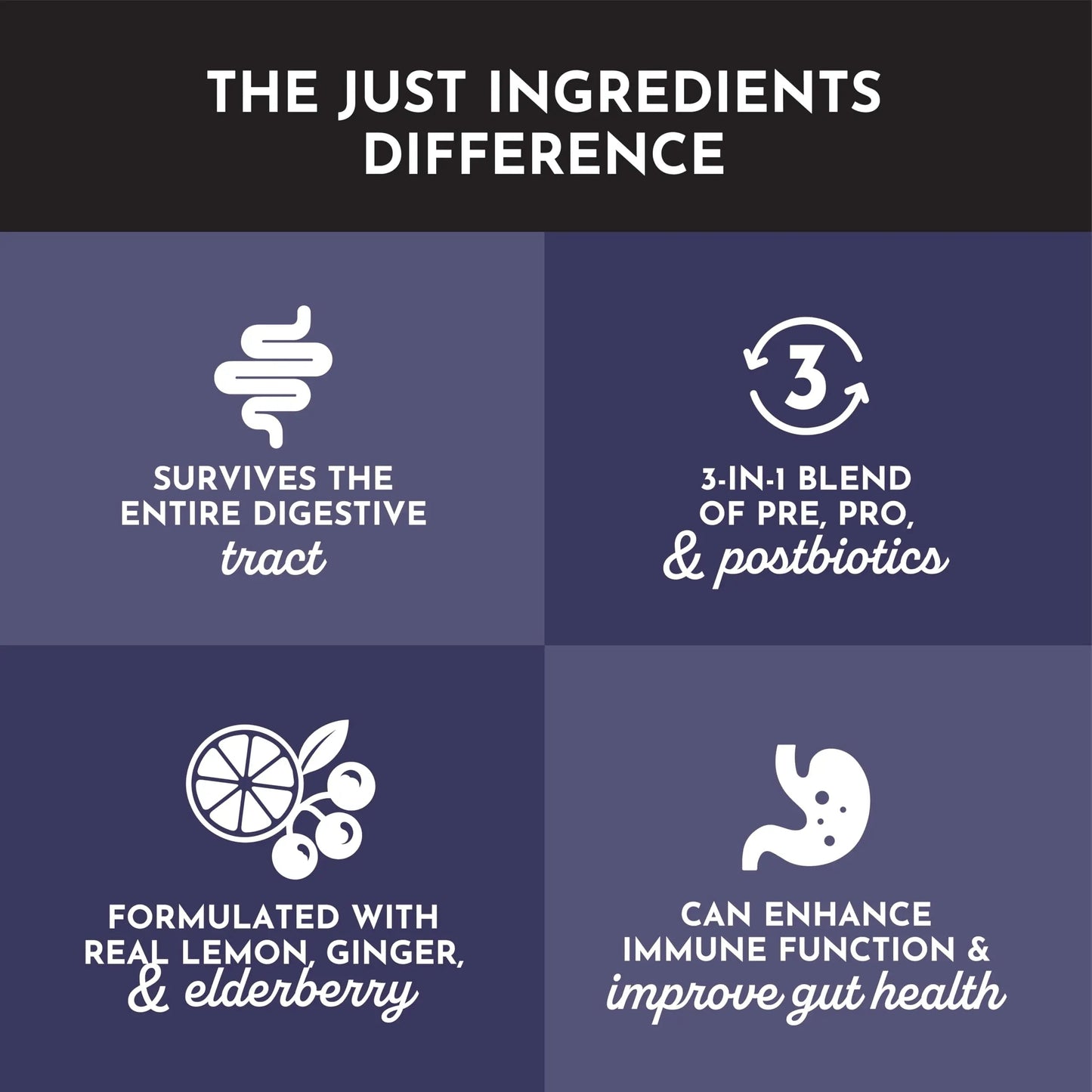 JUST INGREDIENTS Elderberry Lemonade 3-in-1 Probiotic Complex - Prebiotics, Probiotics & Postbiotics - 30 Sticks JUST INGREDIENTSBuy Supplements Australia