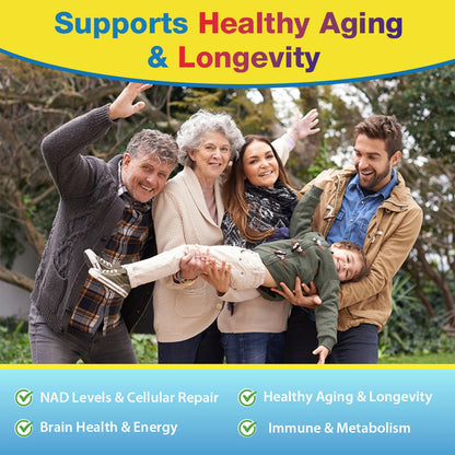 NMNH (NMN Supplement Alternative) NAD Supplements for Anti Aging, Energy, Immune, Focus (Dihydronicotinamide Mononucleotide) 500mg, to Boost NAD+ Levels As We Age, Pure Organic - 60 Capsules BeyyolyBuy Supplements Australia
