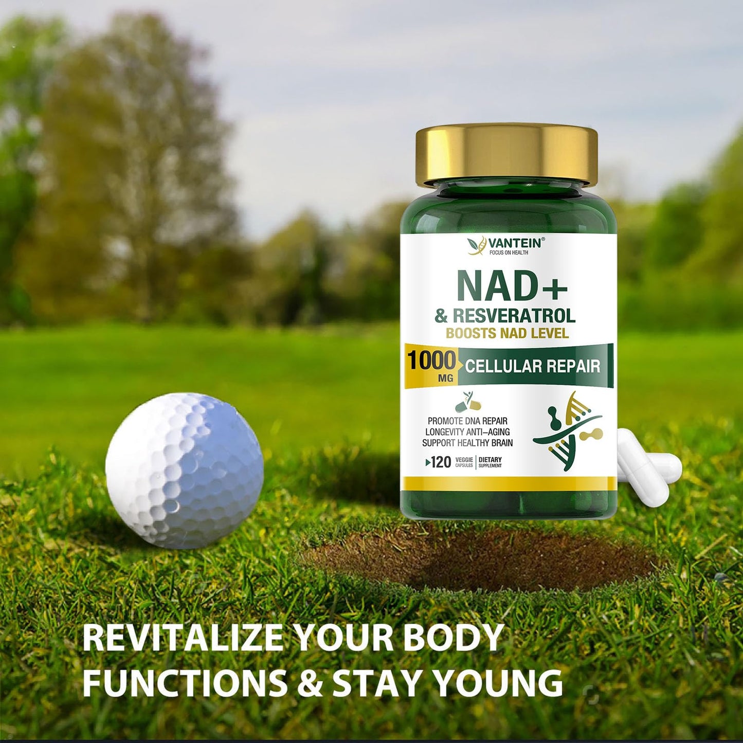 TEATTY NAD+ & Resveratrol Supplement - NMN Alternative with 120 Capsules, Anti-Aging Cellular Support, Energy & Longevity Booster, DNA Repair Formula TEATTYBuy Supplements Australia