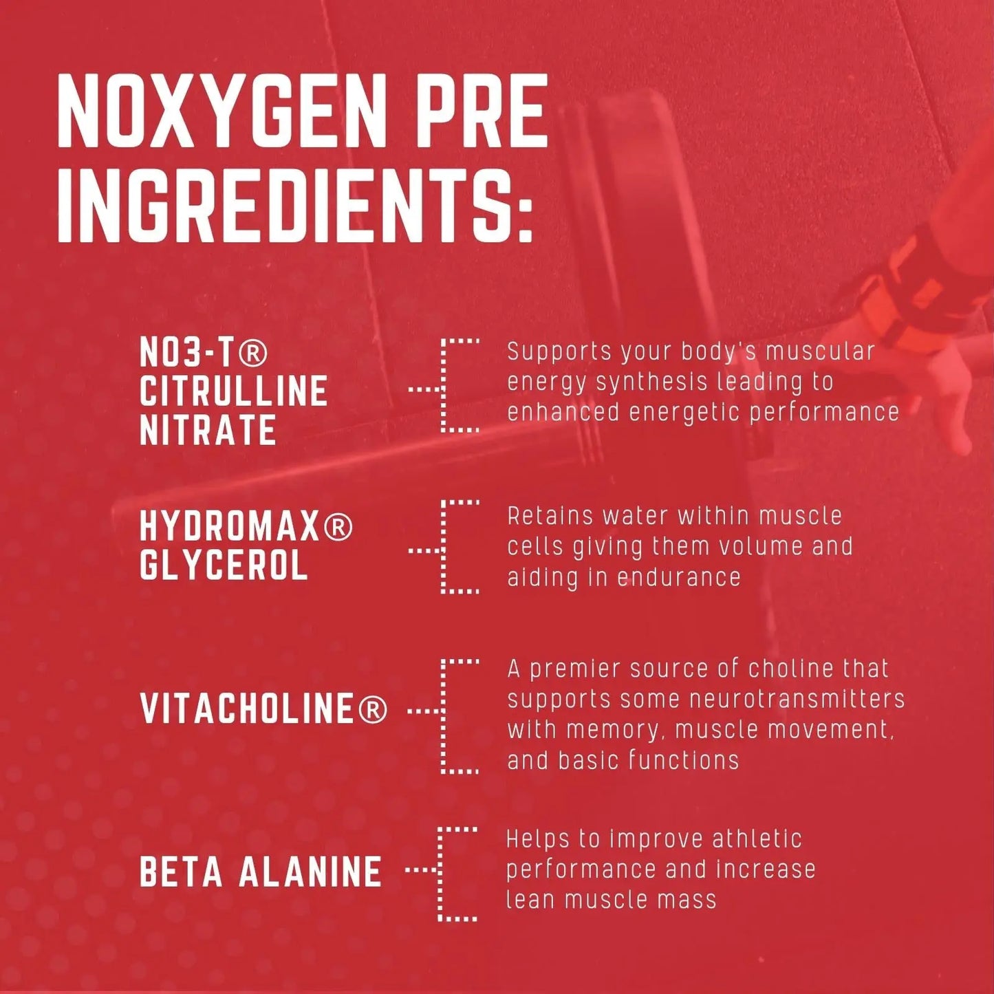 Purus Labs NOXYGEN PREWORKOUT Powder, 30 Servings (Strawberry Candy) Purus Labs