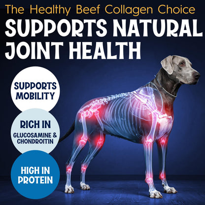 FETCHERONI 12" Collagen Sticks for Dogs – Low Odor Long-Lasting Bully Stick & Rawhide Alternative, Single Ingredient Beef Bone, High Protein Dental Treat, Vet Approved, Improves Joint Health – 5 Pack FETCHERONIBuy Supplements Australia