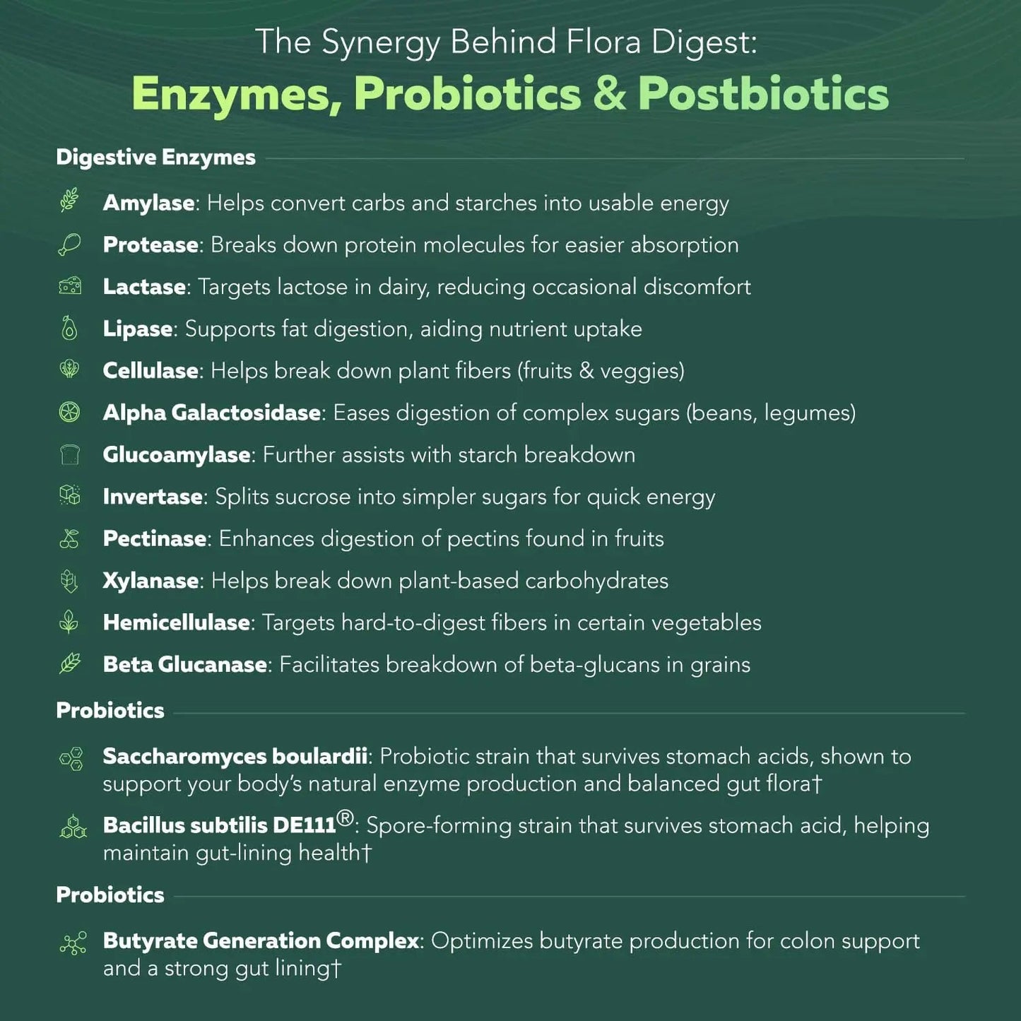 Flora Digest - 3-in-1 Max Strength Digestive Enzymes + Gut Surviving Probiotics & ButyraGen® Postbiotic for Optimal Digestion, Bloating Relief, Regularity, Gut Lining & Colon Support - (30 Capsules) Triquetra HealthBuy Supplements Australia