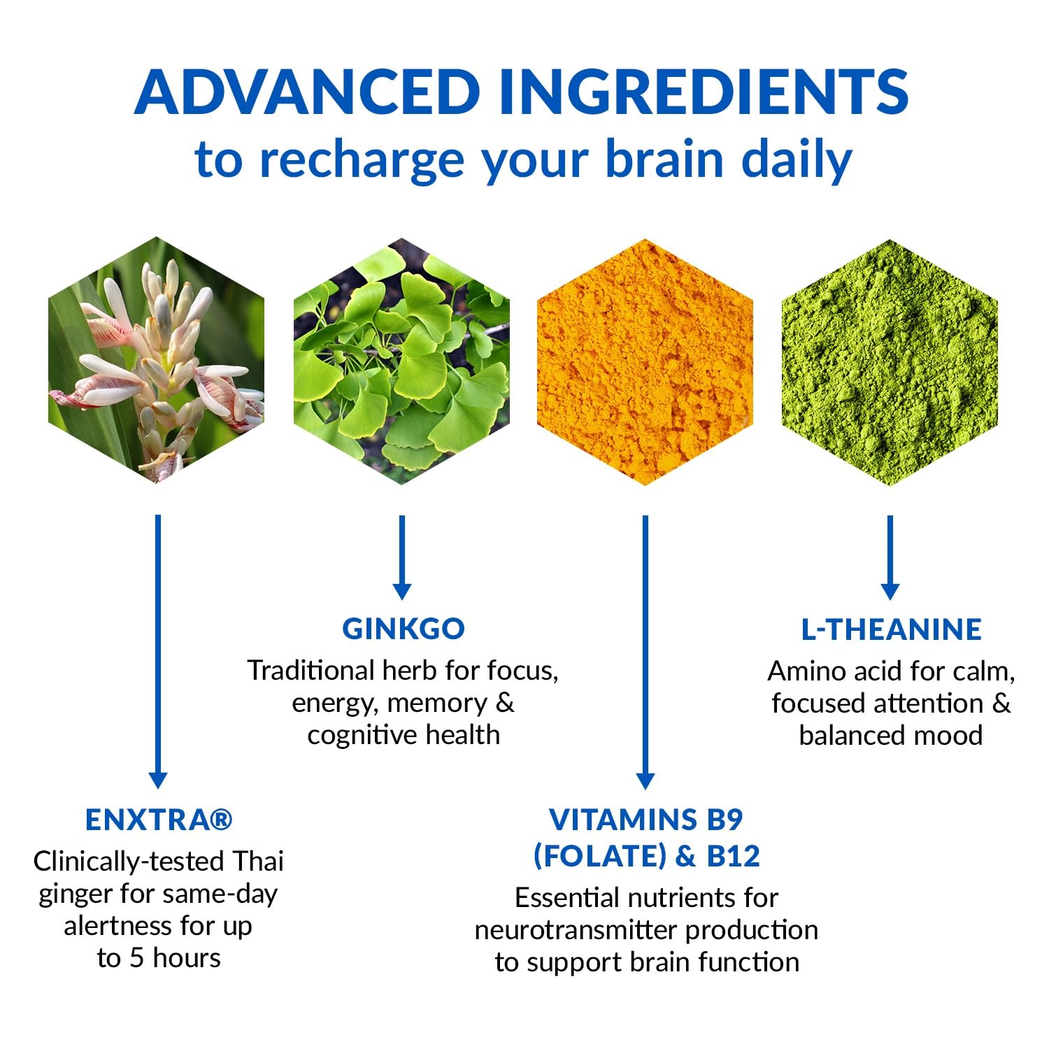 BioTrust Brain Bright – Daily Nootropic Boost for Focus, Concentration, Mental Clarity – Caffeine Free Nootropics Brain Support Supplement – Thai Ginger, Ginkgo, Folate, L-Theanine – 30 Servings BioTrustBuy Supplements Australia