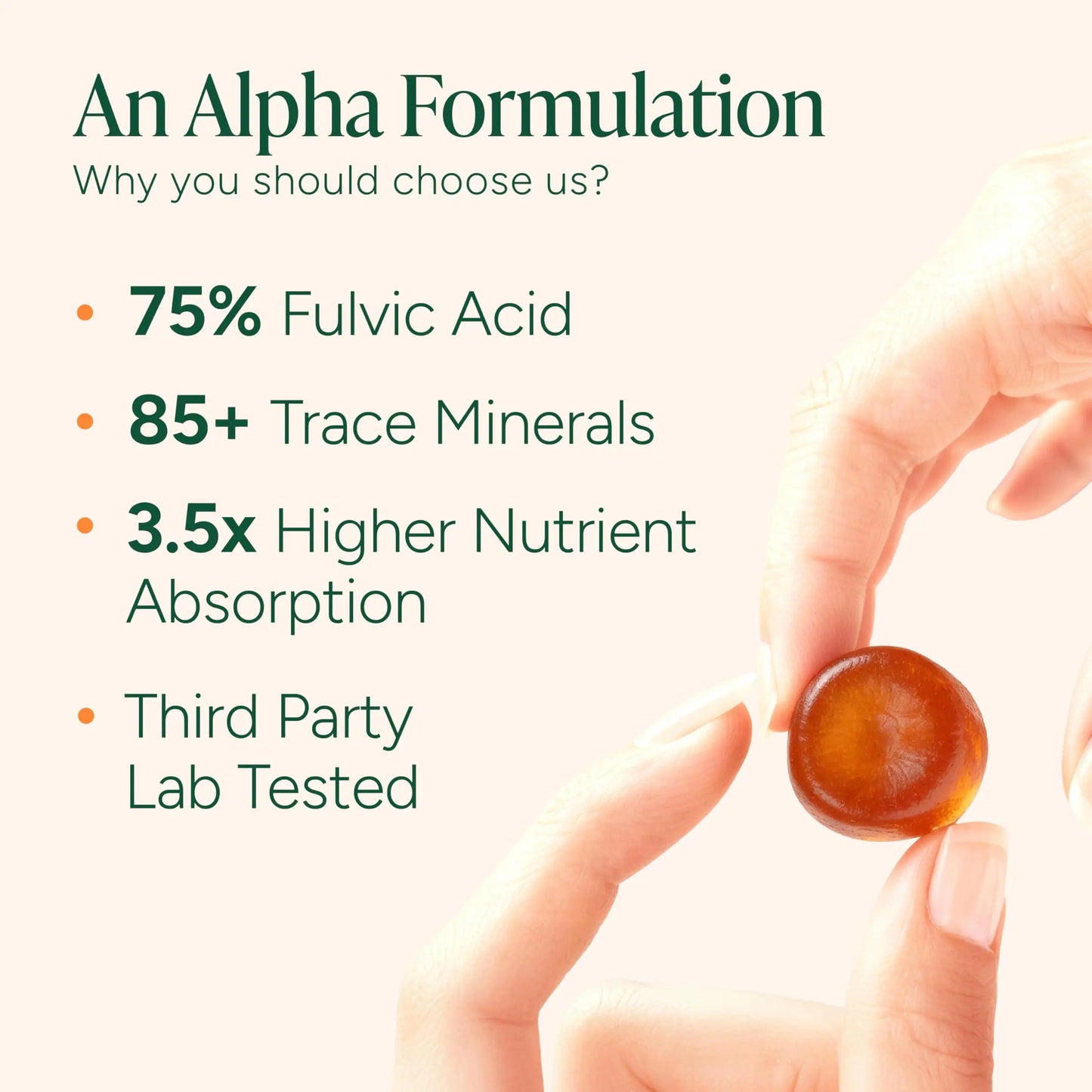 ROOT LABS 10-in-1 Alpha Shilajit Gummies | 4000 mg Pure Himalayan Shilajit with Tongkat Ali & Maca Root | Shilajit for Men & Women | ShilAbsorb Bioavailability Tech ROOT LABS
