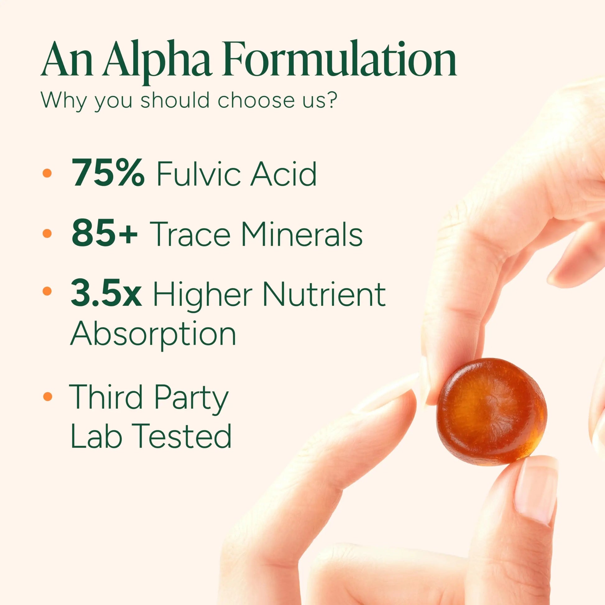 ROOT LABS 10-in-1 Alpha Shilajit Gummies | 4000 mg Pure Himalayan Shilajit with Tongkat Ali & Maca Root | Shilajit for Men & Women | ShilAbsorb Bioavailability Tech ROOT LABS