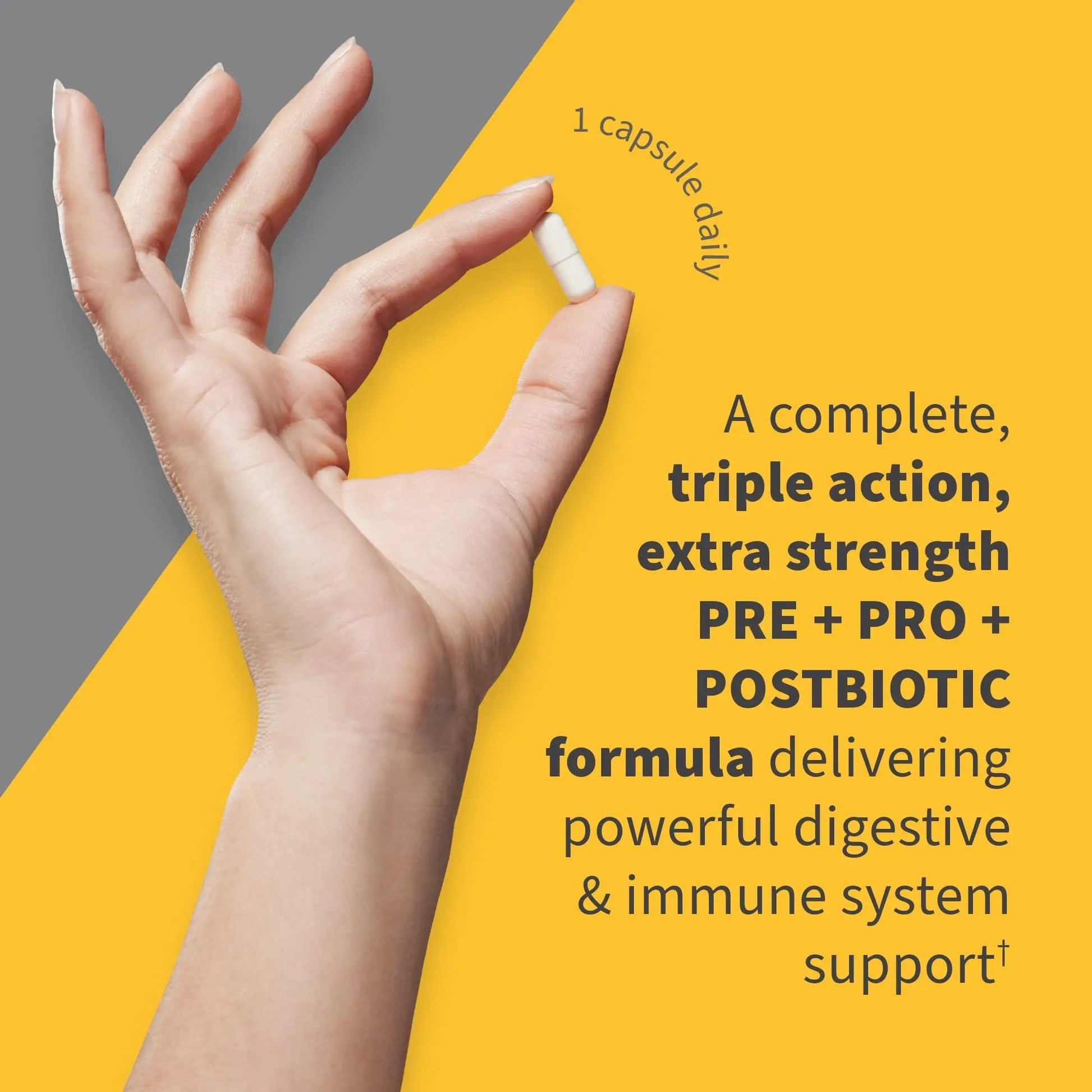 Garden of Life Dr Formulated Probiotics 100 Billion CFU Pre + Pro + Postbiotics - Extra Strength Digestive & Immune Support for Men and Women, Potato, Acacia, Postbiotic Metabolites, 30 Capsules Garden of LifeBuy Supplements Australia
