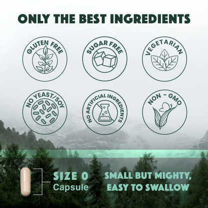 Natural Rhythm Triple Calm Magnesium Complex - 120 Capsules, Chelated Magnesium Glycinate, Taurate & Malate, High Absorption Supplement for Sleep, Stress, Muscle & Heart Support, Non-GMO, Vegan Natural Rhythm buy supplements Au