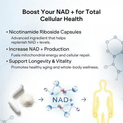 Liposomal NAD+ Supplement with Resveratrol - Nicotinamide Riboside 1000 Mg - NAD Supplements for Women & Men - NMN Supplement Alternative - Advanced NAD Resveratrol for Cellular Energy - 120 Capsules PharmlitaliaBuy Supplements Australia