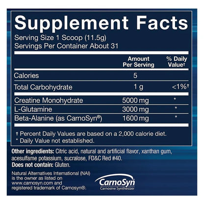 BodyTeach Creatine and Glutamine with Beta Alanine Fruit Punch - Supports Muscle Growth BODYTECH