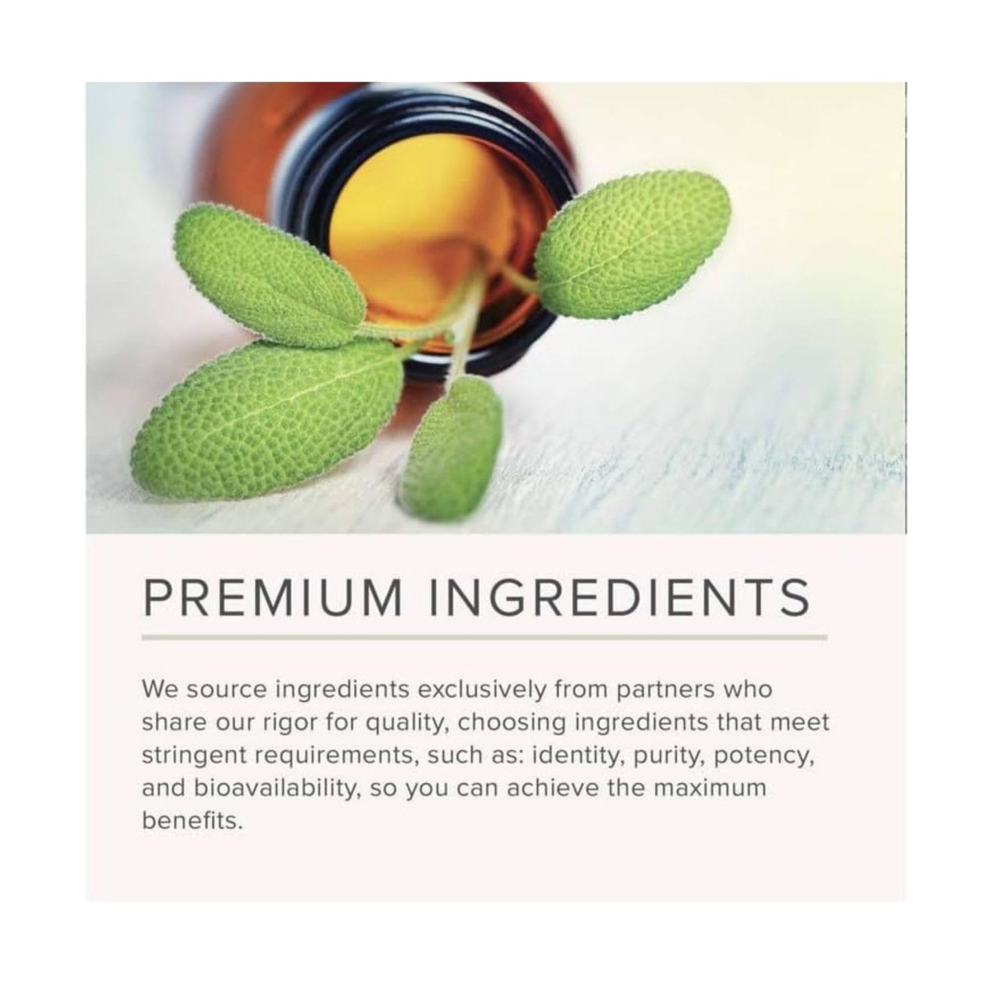 NusaPure Gymnema Sylvestre 50:1 Extract, 250 mg Equivalent to 12,500mg Per Vegan Caps - 150 Count (Non-GMO, Vegan, Bioperine) NusaPureBuy Supplements Australia