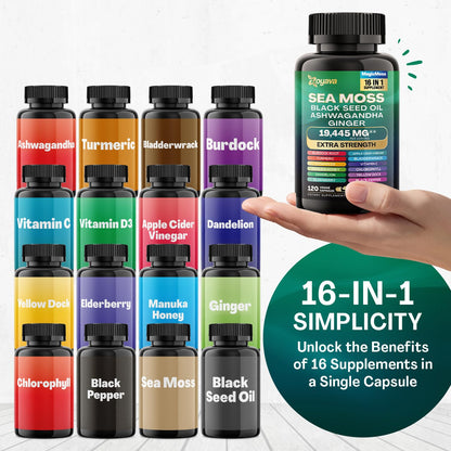 Zoyava Sea Moss 7000mg Black Seed Oil 4000mg Ashwagandha 2000mg Turmeric Zoyava