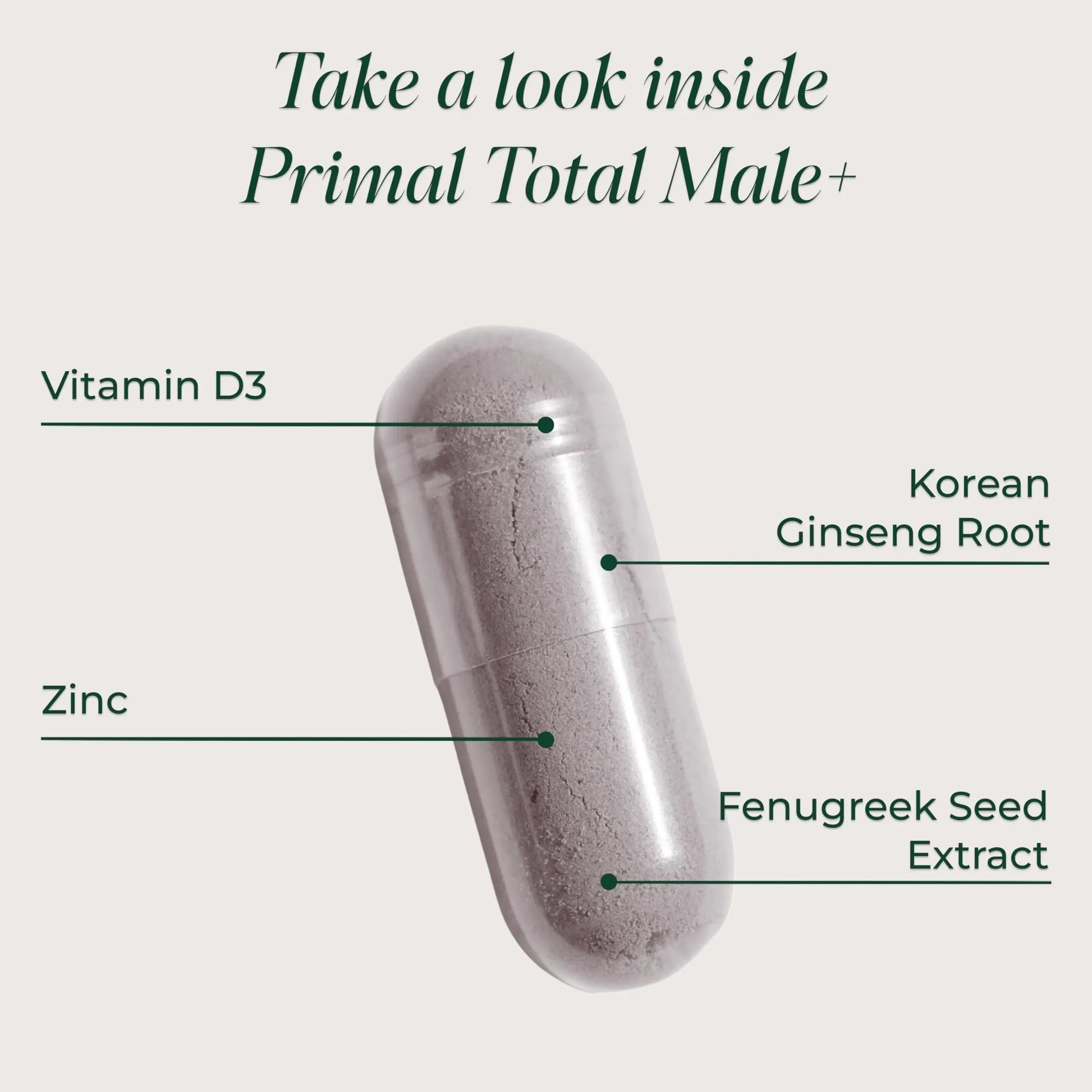 Primal Harvest Total Male+ Multivitamin for Men Vitamins, Minerals and Herbal Support for Energy, Vitality, Immune Health Primal Harvest
