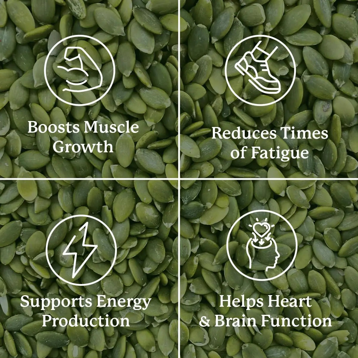 Nature’s Sunshine Magnesium Complex - High Potency Magnesium Supplement with Citrate & Malate for Relaxation, Optimal Absorption, Muscle Function, Energy Production - 50 Servings (100 Capsules) Nature's Sunshine buy supplements Au