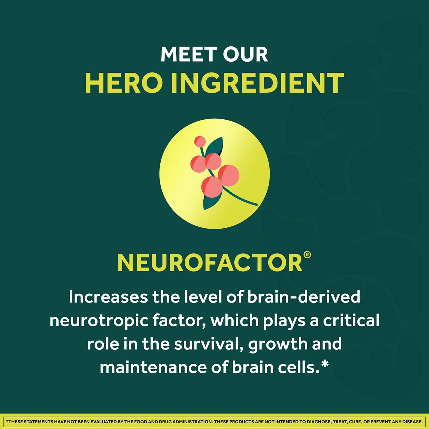 NEURIVA Brain + Energy Gummies, Nootropic Brain Supplements for Focus and Concentration with Neurofactor, Vitamin B12 & Caffeine for an Energy Boost*, 75ct Natural BlackBerry NEURIVABuy Supplements Australia