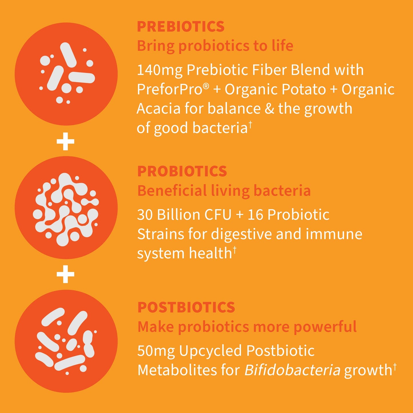 Garden of Life Dr Formulated Once Daily 3-in-1 Complete Probiotics, Prebiotics & Postbiotics - PRE + PRO + POSTBIOTIC Supplement for Adults’ Digestive