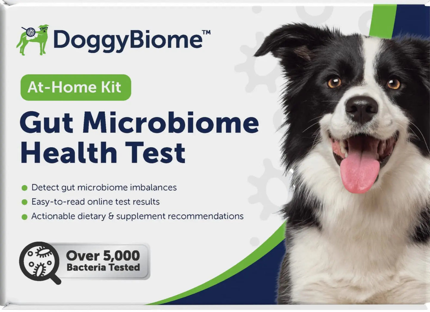 AnimalBiome Dog Gut Health Test – DoggyBiome At Home Stool Testing Kit, Canine Fecal Analysis for Digestive Issues, Diarrhea & Allergy Insights w/Personalized Report & Custom Plan (Dogs Outside US) AnimalBiomeBuy Supplements Australia