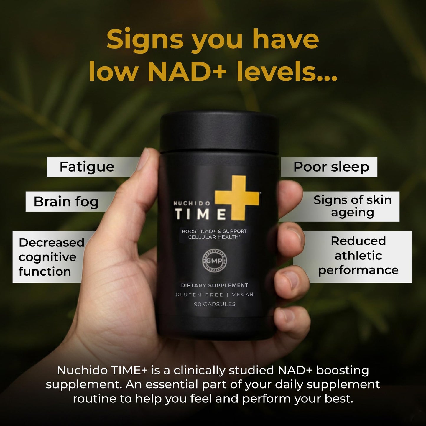 Nuchido Time+ NAD Supplement for Men & Women - Advanced Formula for Healthy Aging, Energy, Focus, Cellular Health & Longevity - Nicotinamide, Alpha Lipoic Acid, Quercetin - 90 Capsules Nuchido Time+Buy Supplements Australia