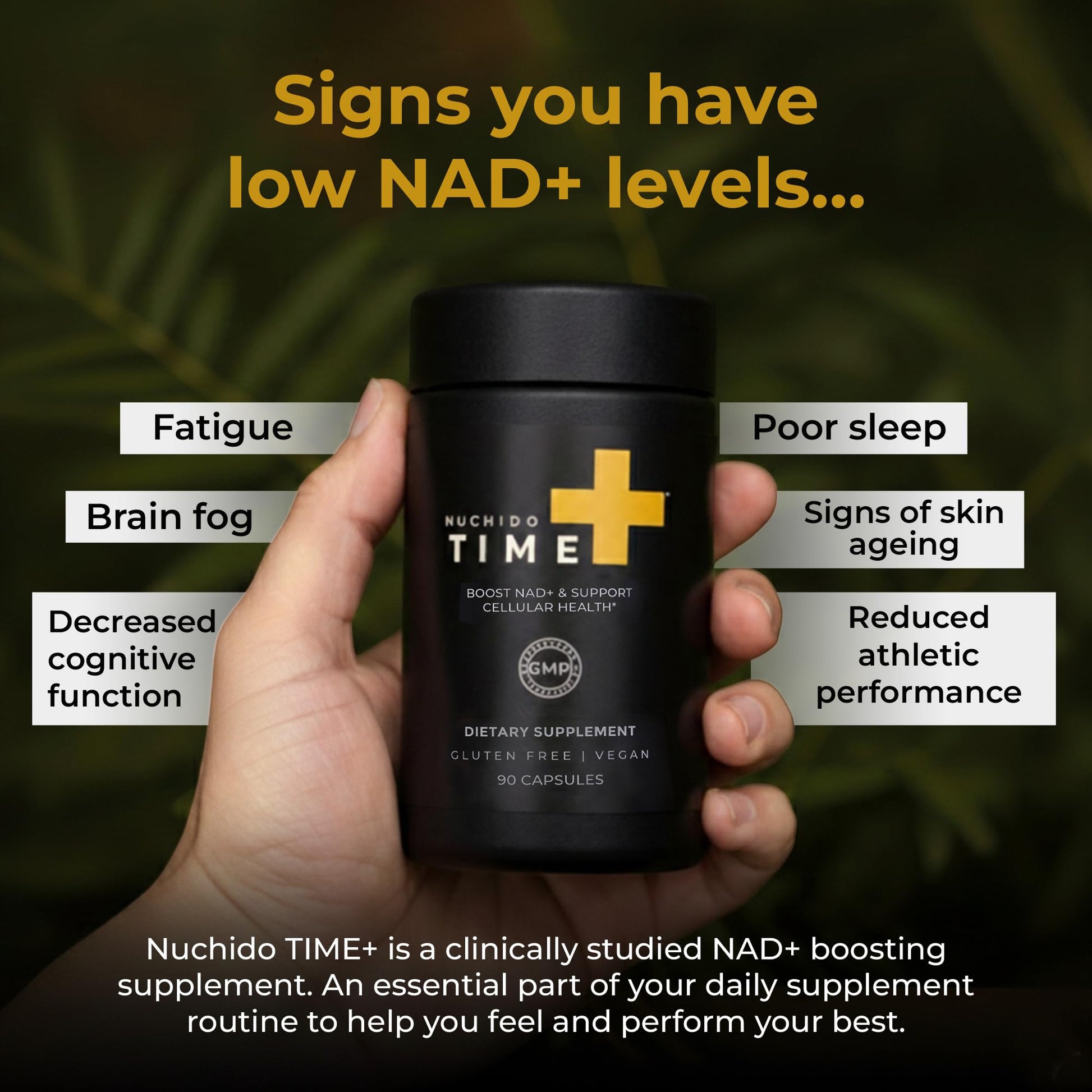 Nuchido Time+ NAD Supplement for Men & Women - Advanced Formula for Healthy Aging, Energy, Focus, Cellular Health & Longevity - Nicotinamide, Alpha Lipoic Acid, Quercetin - 90 Capsules Nuchido Time+Buy Supplements Australia