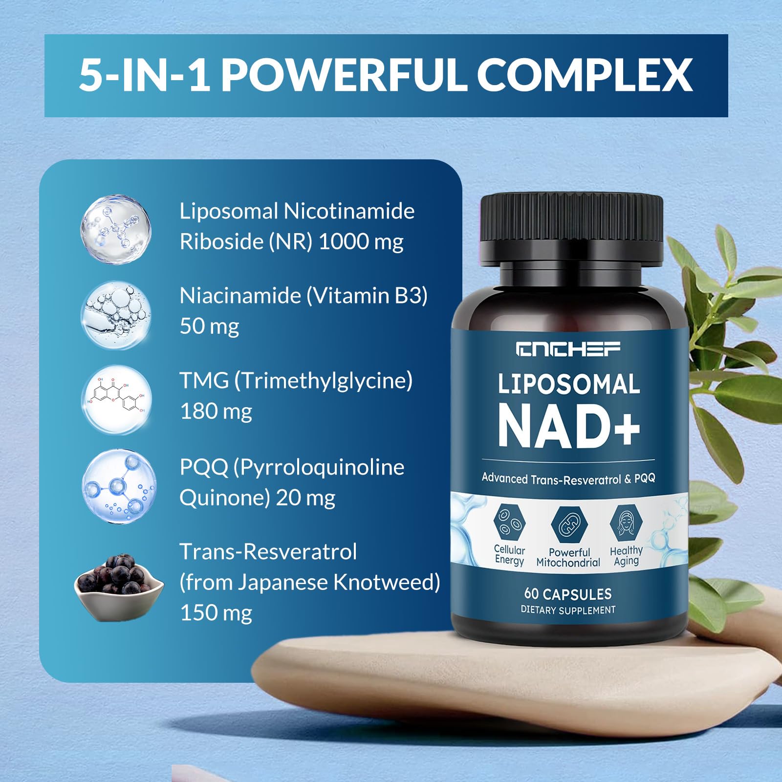 CNCHEF Liposomal NAD Supplement -1000mg, NAD Resveratrol Supplement for Women & Men with Nicotinamide Riboside, Resveratrol, PQQ & TMG, NAD Plus Boosts NAD+ Levels, Anti-Aging & Brain, 60 Capsules CNCHEFBuy Supplements Australia