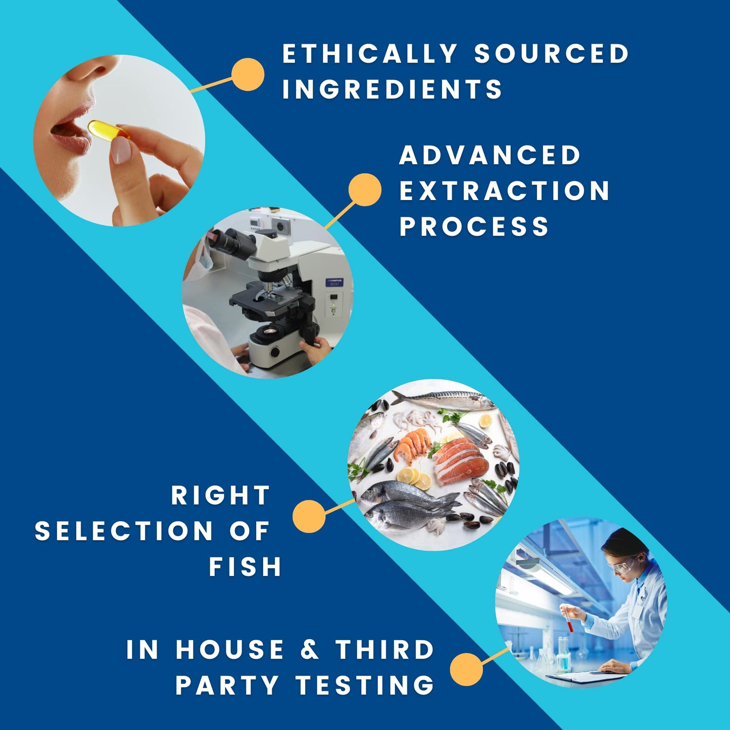 High DHA Omega 3 Fish Oil - CogniDHA - Pharmaceutical Grade - 840 mg Omega-3s - Supercritical CO2 Tranquility Labs