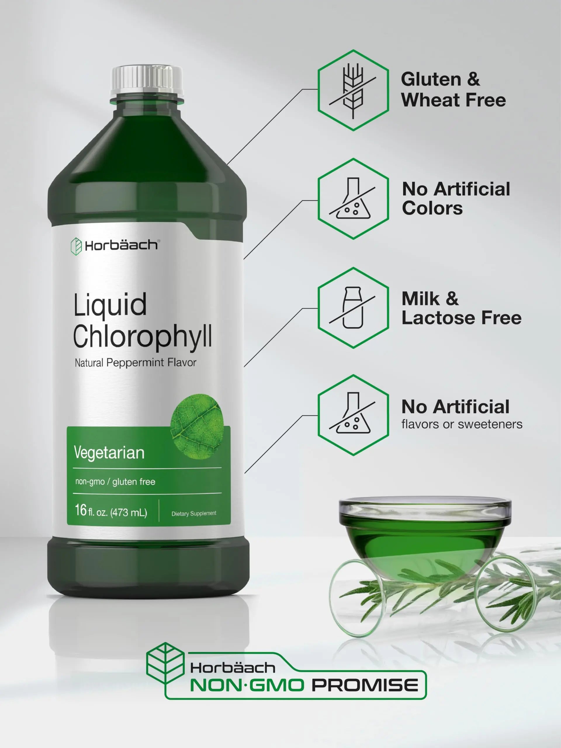 Chlorophyll Liquid Drops 100mg | 32 oz (2 x 16 oz Bottles) | Natural Peppermint Flavor Horbäach
