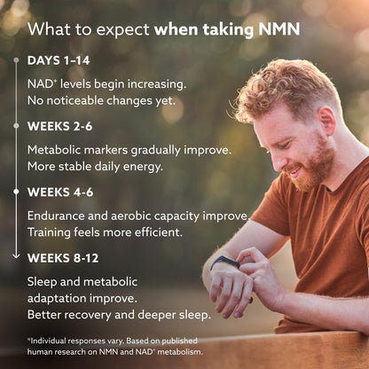 PUROVITALIS Liposomal NMN, 250mg Longevir Nicotinamide Mononucleotide Supplement, NAD+ Boost for Cellular Health, Energy & Healthy Aging, 1-Month Supply (60 Vegan Capsules) PUROVITALISBuy Supplements Australia