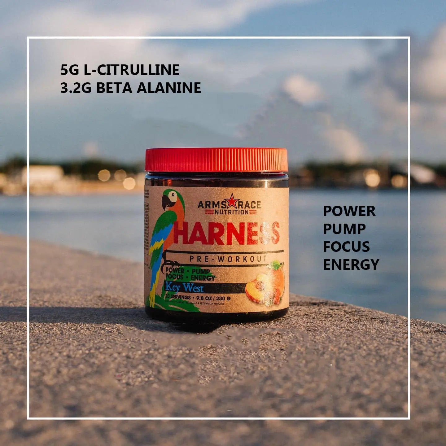 Arms Race Nutrition Harness Pre-Workout, 20 Servings (Big Sky) Arms Race Nutrition