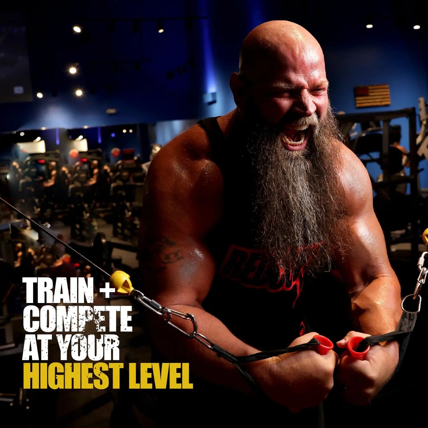 REDCON1 Total War Pre Workout - L Citrulline, Malic Acid, Green Tea Leaf Extract for Pump REDCON1