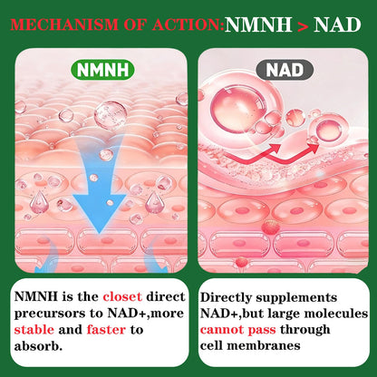 GHKALQ NMNH Supplement 1000mg,Liposomal Pure Nicotinamide Mononucleotide,Boost NAD Level with Resveratrol & Nicotinamide Riboside NR,High Absorption,for Cellular,Energy,Non-GMO,Vegan,120 Capsules GHKALQBuy Supplements Australia