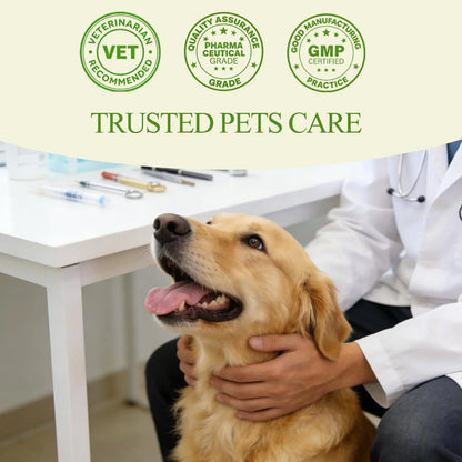 Topical 99.995% DMSO for Dogs Lipoma, Lipoma Treatment for Dogs, Reduce Fatty Lumps and Bumps Inflammation, Swelling, Dog Pain Relief, DMSO in Glass Bottle with Precision Dropper, 1.7 oz Jdicklary buy supplements Au
