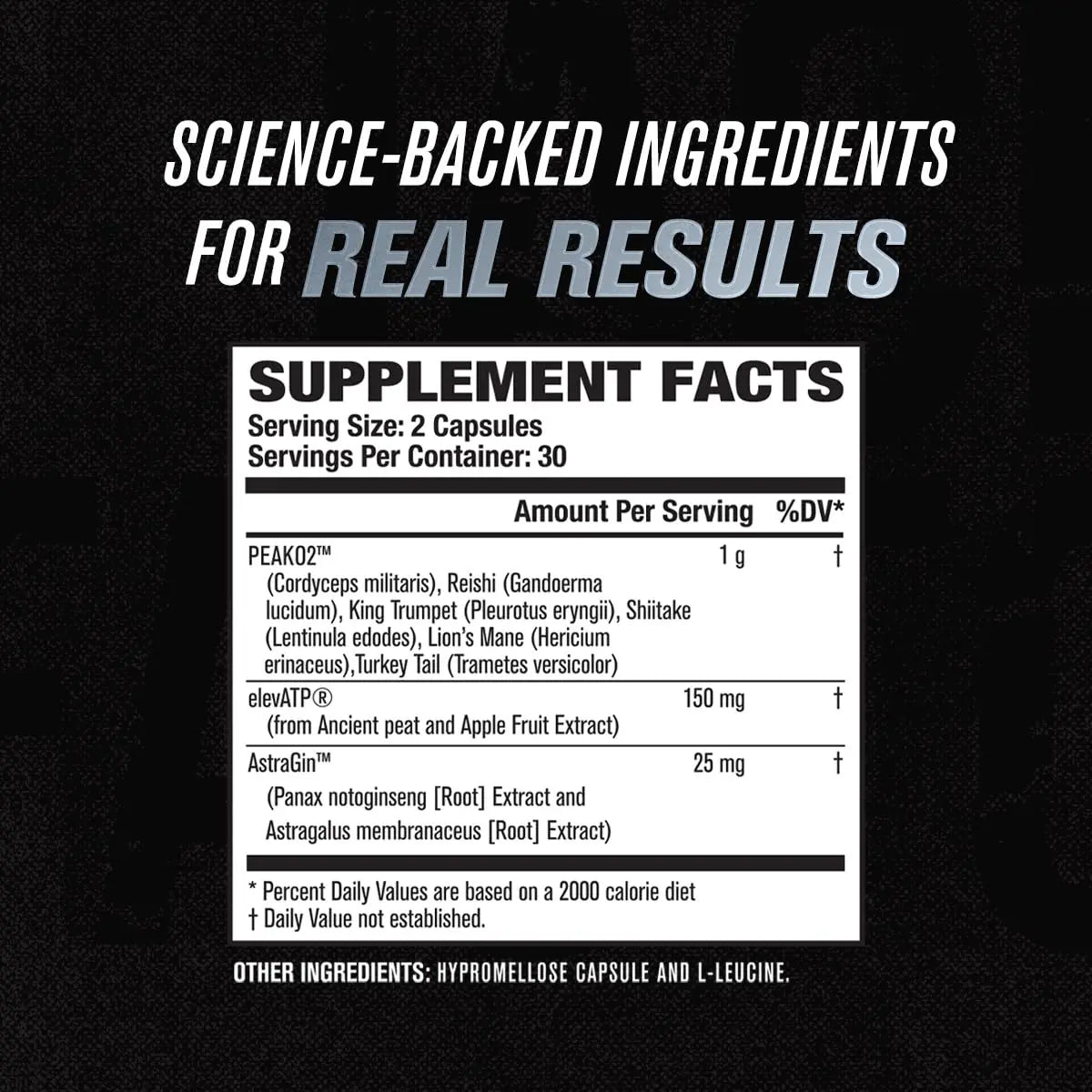 Jacked Factory Muscle Builder Supplement Stack - Build-XT Muscle Builder & N.O. XT Nitric Jacked Factory