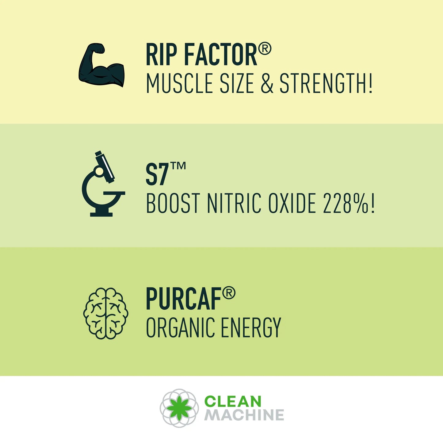 CLEAN MACHINE N10s - Plant Based Vegan Preworkout Powder - 3 Clinically Tested CLEAN MACHINE