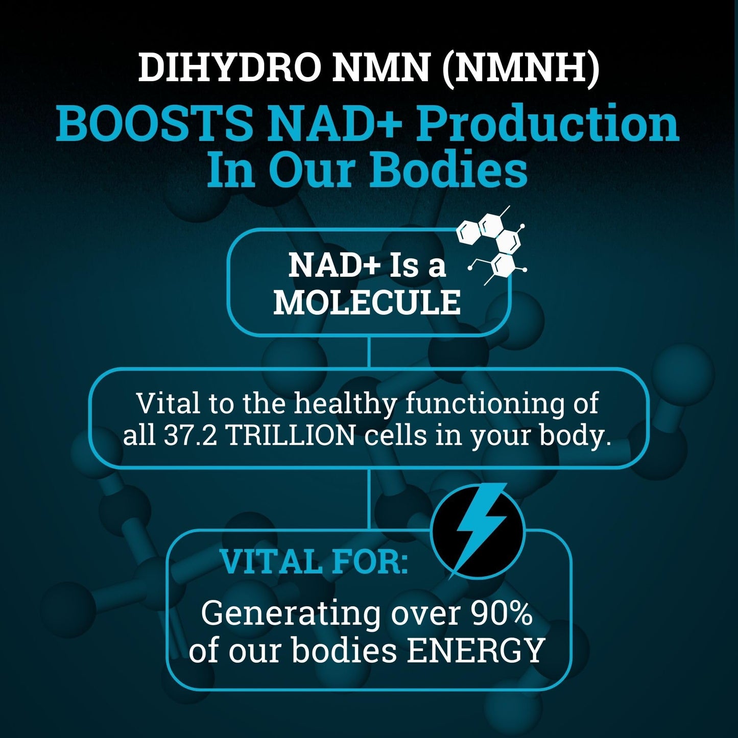 NMNH Supplement 250MG Pure Dihydro-Nicotinamide Mononucleotide (NMN Supplement Alternative with Bioperine® For 3X The Bioavailability) NAD Supplement to Boost NAD+ Levels For Anti-Aging & Energy Black ForestBuy Supplements Australia