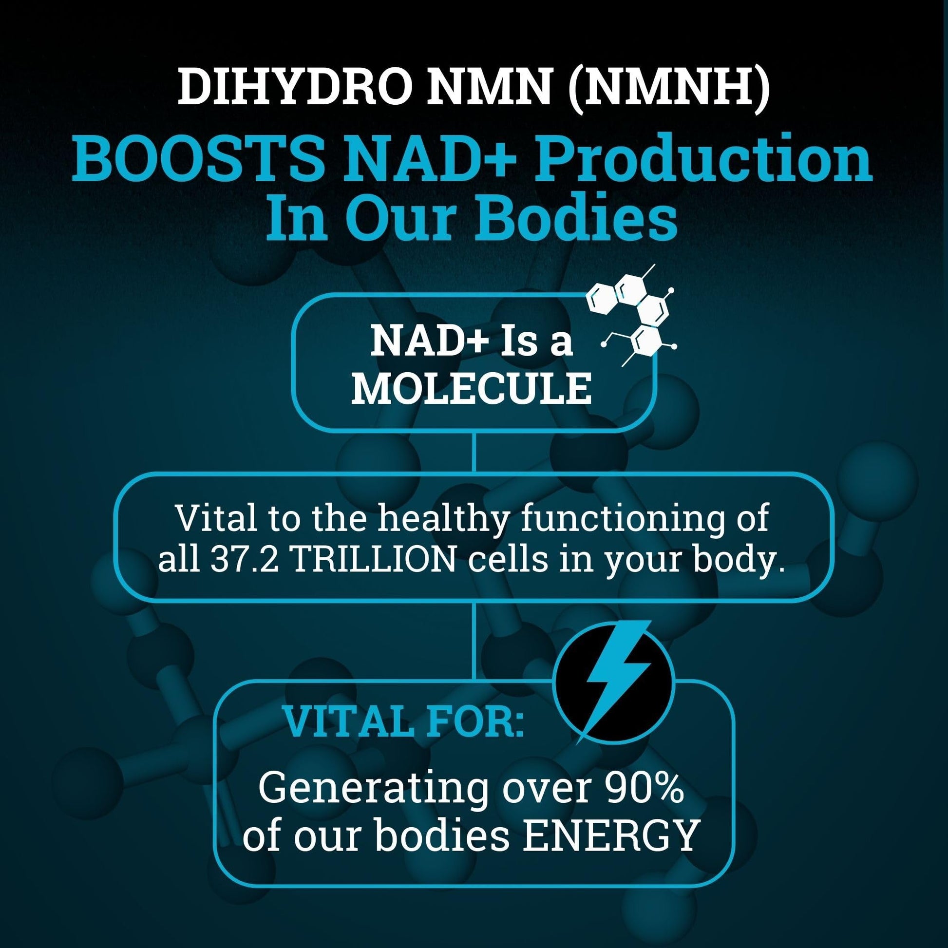 NMNH Supplement 250MG Pure Dihydro-Nicotinamide Mononucleotide (NMN Supplement Alternative with Bioperine® For 3X The Bioavailability) NAD Supplement to Boost NAD+ Levels For Anti-Aging & Energy Black ForestBuy Supplements Australia