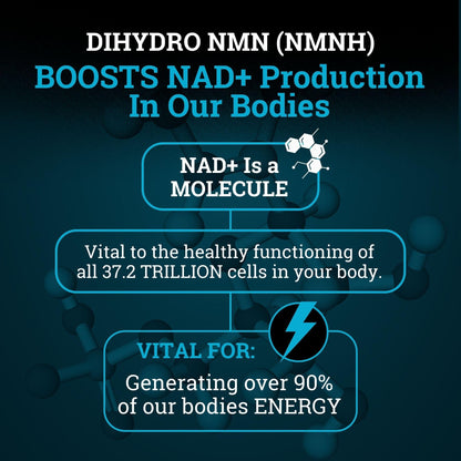NMNH Supplement 250MG Pure Dihydro-Nicotinamide Mononucleotide (NMN Supplement Alternative with Bioperine® For 3X The Bioavailability) NAD Supplement to Boost NAD+ Levels For Anti-Aging & Energy Black ForestBuy Supplements Australia