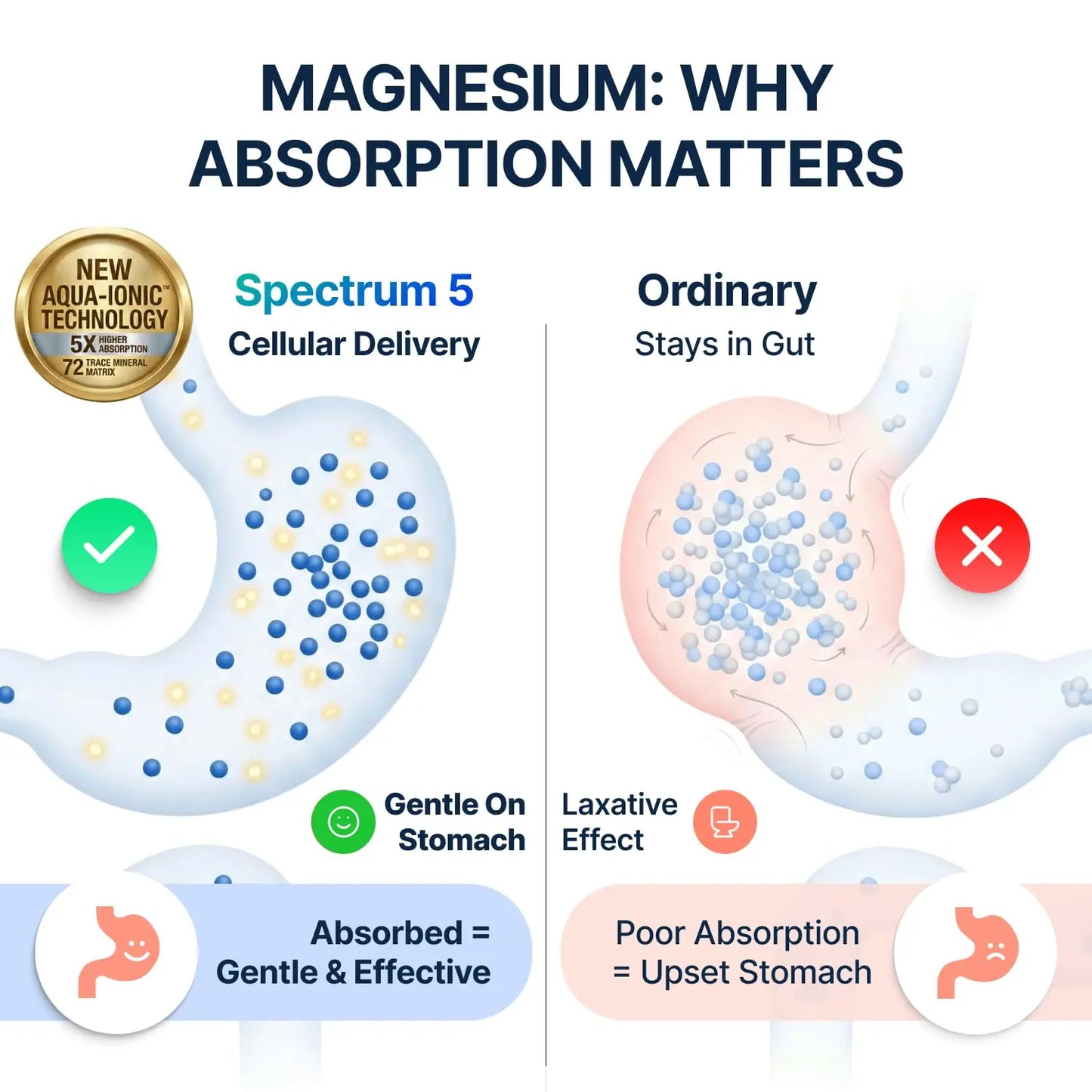 Spectrum 5 Magnesium | 5-in-1 Complex + 72 Trace Minerals for Enhanced Absorption | Irish Sea Sourced | 500mg per Serving SonoHealth
