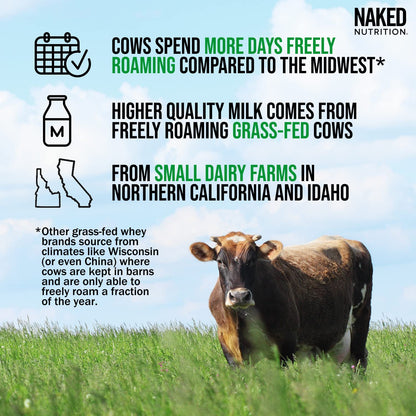 NAKED Whey Double Chocolate Grass Fed Whey Protein Powder, No GMO, No Soy NAKEDBuy Supplements Australia