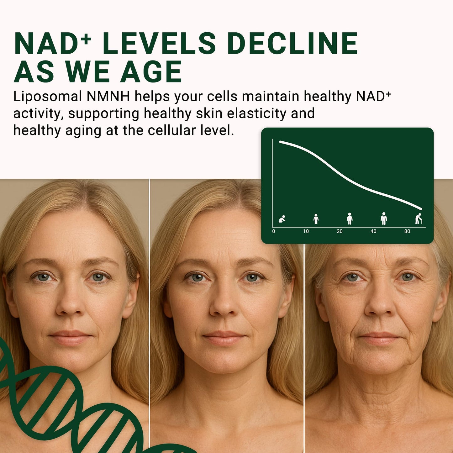GenuinePurity - NMNH NAD Supplement - 250mg, 30 Count Liposomal NAD+ Supplement for Cellular Health & Energy - GMP Certified Advanced Reduced Form of NMN for Superior Stability & Absorption GenuinePurityBuy Supplements Australia