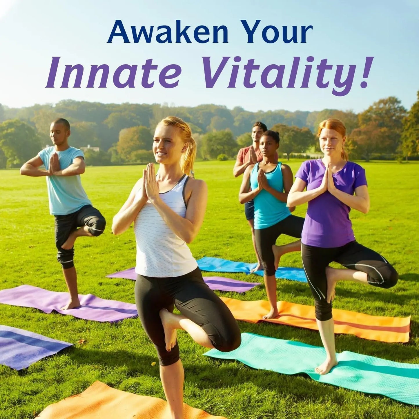 Innate Vitality 12-in-1 Magnesium Complex, 500 mg Elemental Mag, with Magnesium Glycinate Malate Taurate Aspartate & More, Innate Vitality