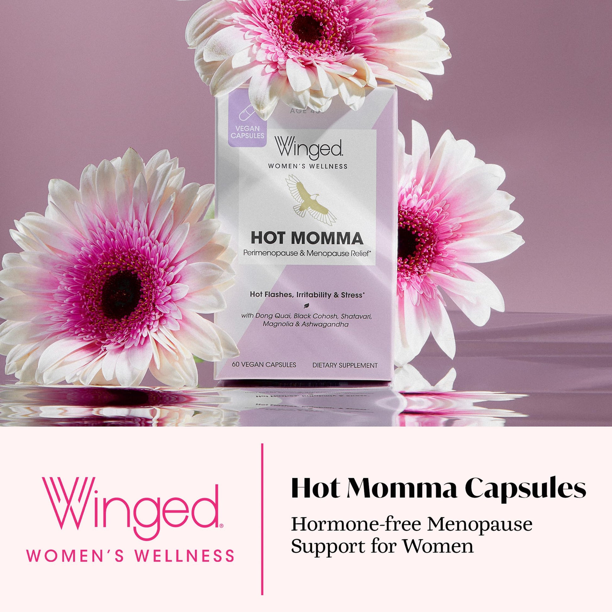 Winged Wellness Hot Momma Menopause Supplements for Women - Hormone-Free Menopause Relief Support for Hot Flashes & Night Sweats with Chaste Tree Berry, Multivitamins & Shatavari - 60 Vegan Capsules Winged WellnessBuy Supplements Australia
