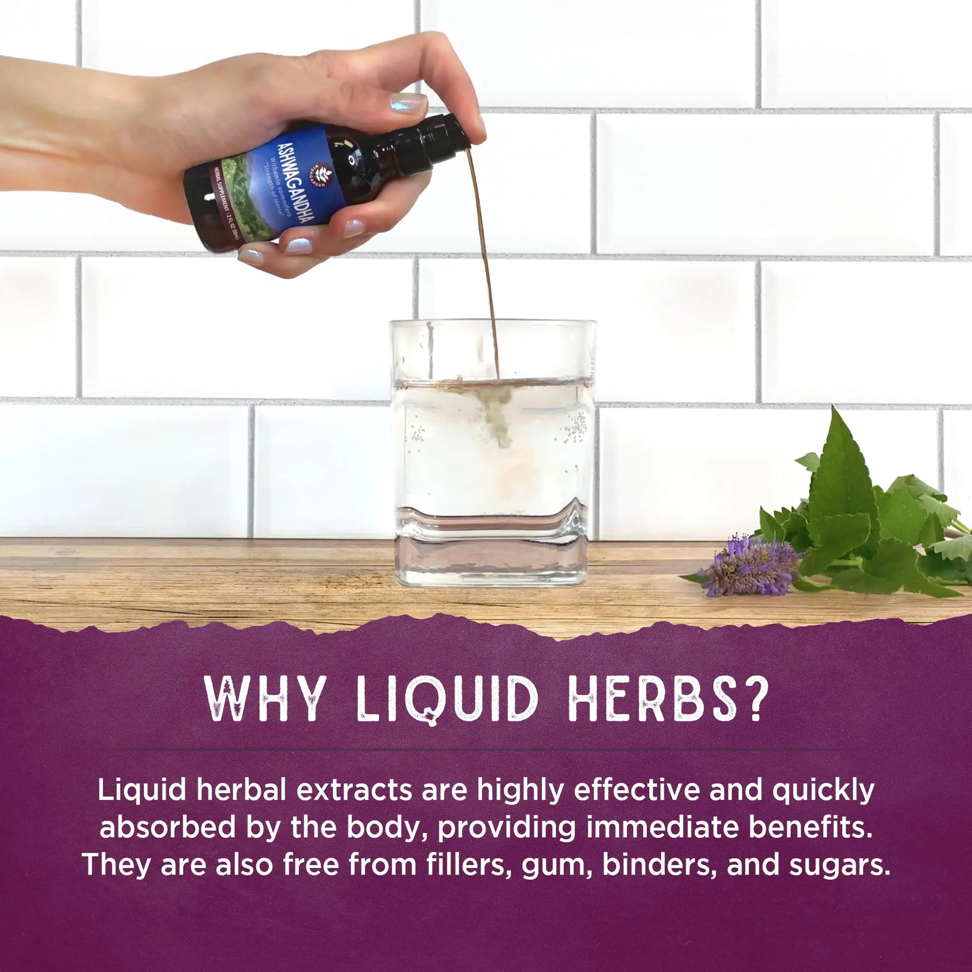 WishGarden Herbs Deep Lung & Bronchial Support - Natural Lung Support Supplement WishGarden