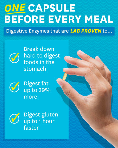 Zenwise Health Digestive Enzymes - Probiotic Multi Enzymes with Probiotics Zenwise Health