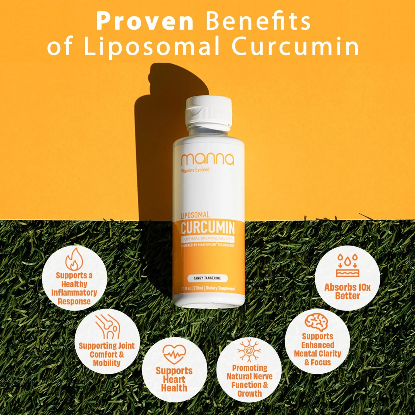 Manna Vitamins Evolved Liposomal Liquid Curcumin for Advanced Absorption Best Turmeric Supplement for Daily Joint & Immune Health Support - Vegan, Non-GMO, 95% Curcuminoids (1 Pack) Manna Vitamins Evolved buy supplements Au
