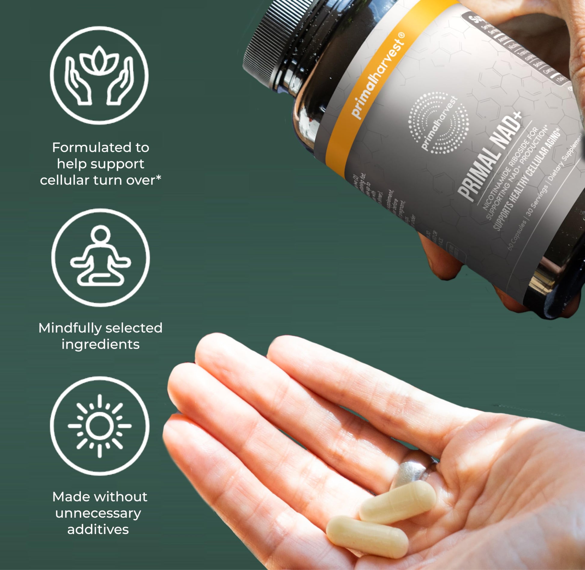 Primal Harvest NAD+ Supplement: Nicotinamide Riboside, Trans-Resveratrol, Betaine, CoQ10, NAD Supplements for Cellular Health, Energy, and Mitochondrial Support (60 Count (1 Pack) Primal HarvestBuy Supplements Australia