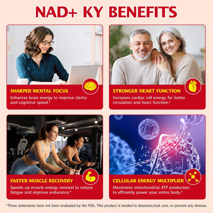 bnHUlMXw NAD Liquid Supplement,1000mg Premium Nicotinamide Riboside & Resveratrol,NAD+ Berry Flavor Drink Mix for Skin Aging Support,Boosts Cellular Energy – NAD Supplements for Men & Women,30 Packs bnHUlMXwBuy Supplements Australia