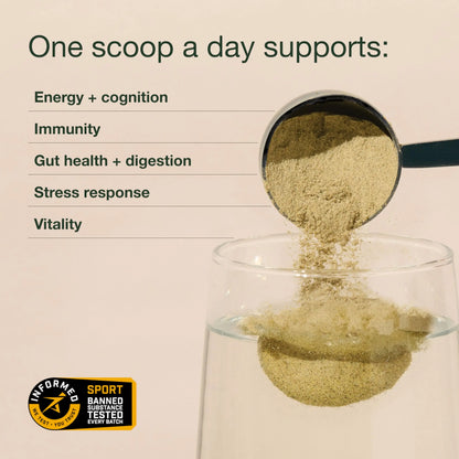 Nuzest Greens Powder Good Green Vitality – Vitamins, Minerals & Superfoods – Vegan Multivitamin Supplement (300g) Nuzest buy supplements Au